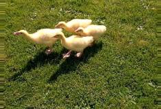 IMG_20230505_110753