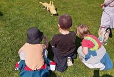 IMG_20230505_110904