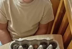 IMG_20260923_061617