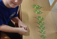 IMG_20260923_061837