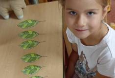 IMG_20260923_062010