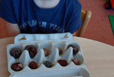IMG_20260923_082159