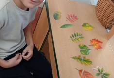 IMG_20260924_074236