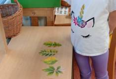 IMG_20260924_080625