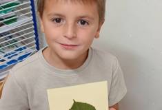 IMG_20260924_082247