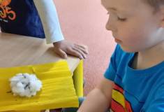 IMG_20250506_064653