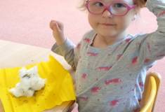 IMG_20250506_071229