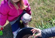 IMG_20260407_105918