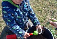 IMG_20260407_110201