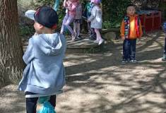 IMG_20260504_110251