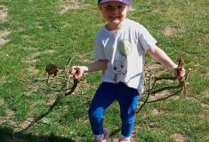 IMG_20260505_104322_1