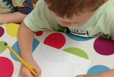 IMG_20260506_072724