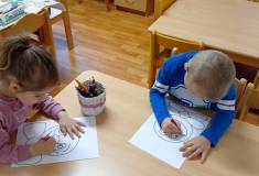 IMG_20250303_071308