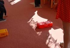 IMG_20250305_101617