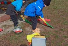IMG_20260309_113044