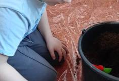 IMG_20260311_081915
