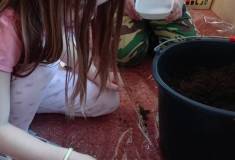 IMG_20260311_082102