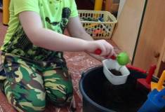 IMG_20260311_082233