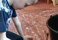 IMG_20260311_082436