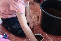 IMG_20260311_082744