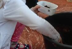 IMG_20260311_082814