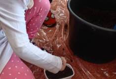 IMG_20260311_082855
