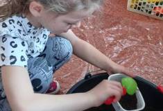 IMG_20260311_083041