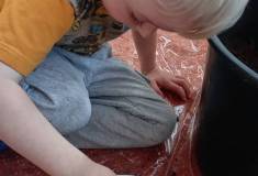 IMG_20260311_083227