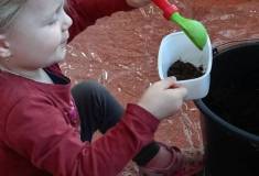IMG_20260311_083316