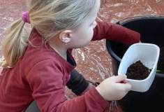 IMG_20260311_083319