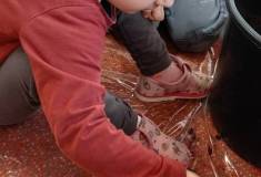 IMG_20260311_083421