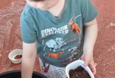 IMG_20260311_083906