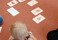 IMG_20260312_094439