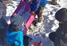 IMG_20260105_110153