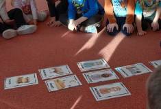 IMG_20260106_093427