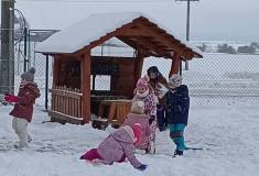 IMG_20260109_110146