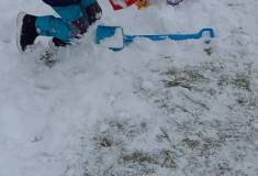 IMG_20260109_110523