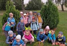 IMG_20230926_104008