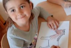 IMG_20250513_080247