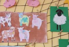 IMG_20250515_091658