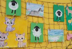 IMG_20250515_091734