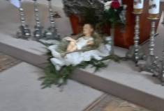 1_IMG_20260109_102836