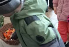 IMG_20260109_103527
