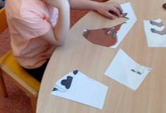 IMG_20260408_084103
