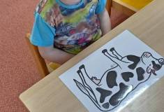 IMG_20260414_073533