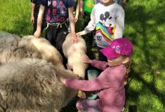IMG_20220510_104004