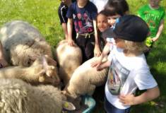 IMG_20220510_104028