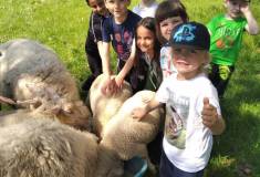 IMG_20220510_104032