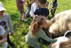 IMG_20220510_104338