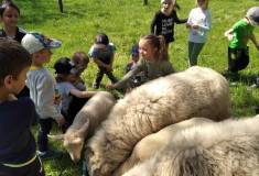 IMG_20220510_104433